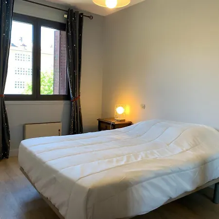 Apartment Calme Proche Centre, Animaux Admis - Fr-1-432-69